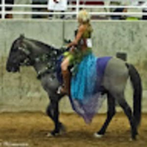 Meet your Posher, Jackie